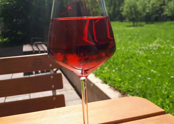 ホテル ホリデイ エクスプレス バーデンバーデン 3*